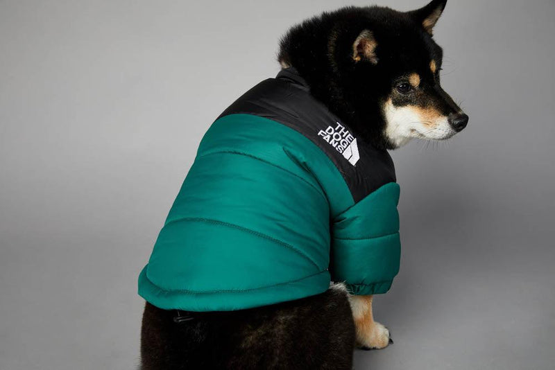 Roupa de frio para Cachorros - Jaqueta The Dog Fans - Lojas Baumani