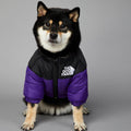 Roupa de frio para Cachorros - Jaqueta The Dog Fans - Lojas Baumani